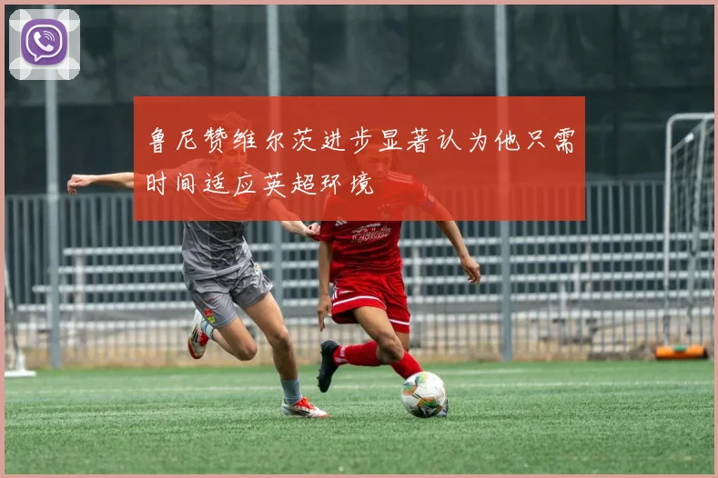 鲁尼赞维尔茨进步显著认为他只需时间适应英超环境
