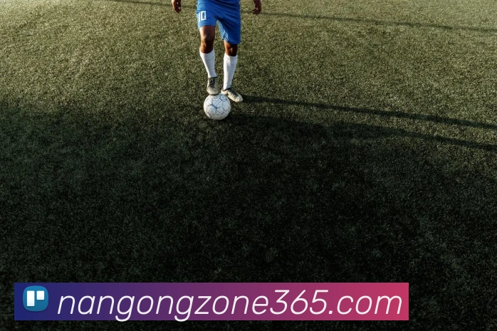 南宫体育平台生态图